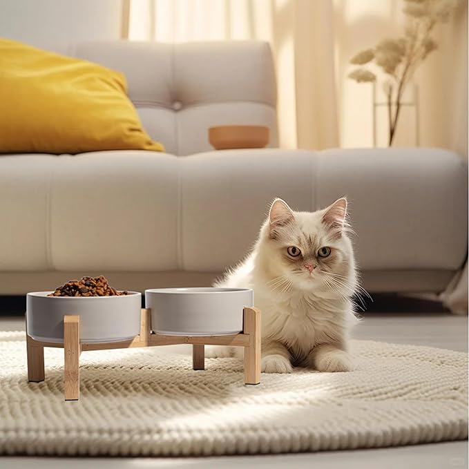 Elevated Ceramic Dog Bowl Set - Raised Feeding Bowls with Non-Slip Bamboo Stand - Small Pet Dishes for Food and Water - Ideal for Cats and Puppies - 16.23 OZ - 2 Cups - 480 ML-PurrikoPets