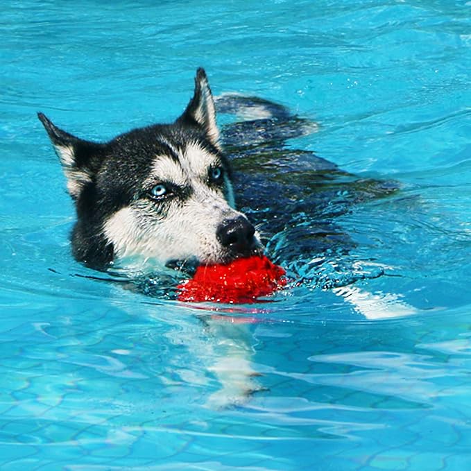 Dog Toys for Aggressive Chewers, Heavy Duty Tough Dog Toy for Large Dogs, Indestructible Squeaky Dog Toys-PurrikoPets