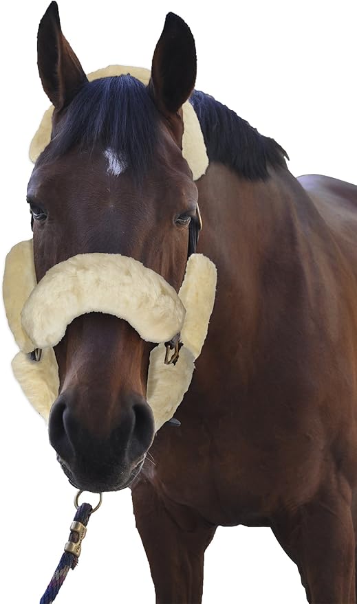 ECP Equine Comfort Products Merino Sheepskin Halter Fleece Set for Horses, 100% Natural Wool, Chafe Protection, Breathable Relief & Cushioned Comfort, Machine Washable, 9-Piece Set, Cream-PurrikoPets