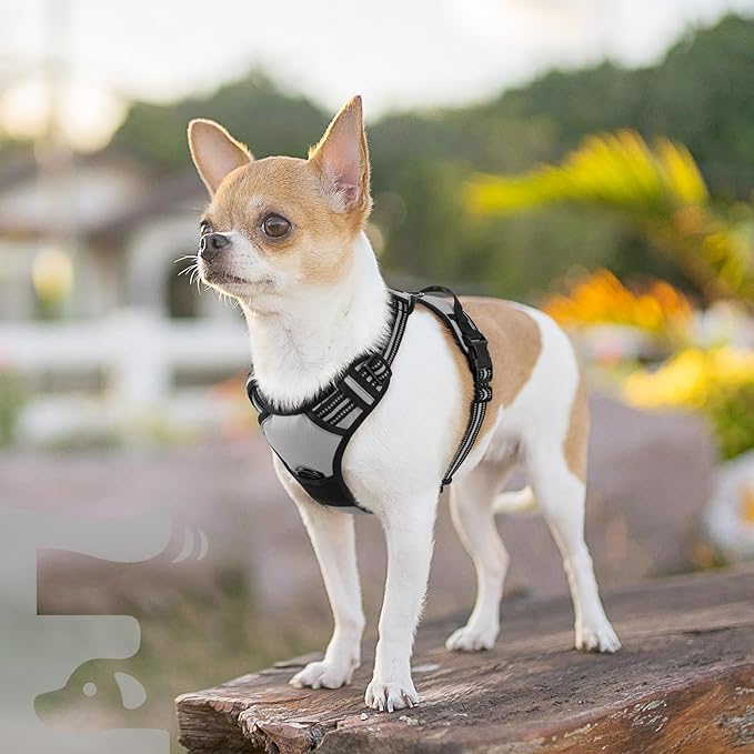 Eagloo Small Dog Harness No Pull, Service Vest with Reflective Strips and Control Handle, Adjustable and Comfortable for Walking, No Choke Pet Harness with 2 Metal Rings, Grey, XS-PurrikoPets