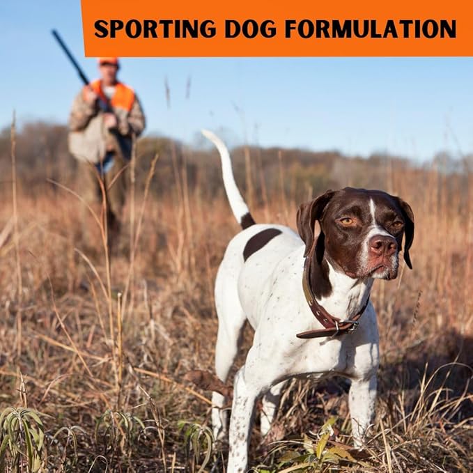 Dr. Connie's Natural Solutions Wound Repair & Care for Sporting Dogs | Veterinarian Formulated Skin Care Solution | Promotes & Enhances Skin Healing-PurrikoPets