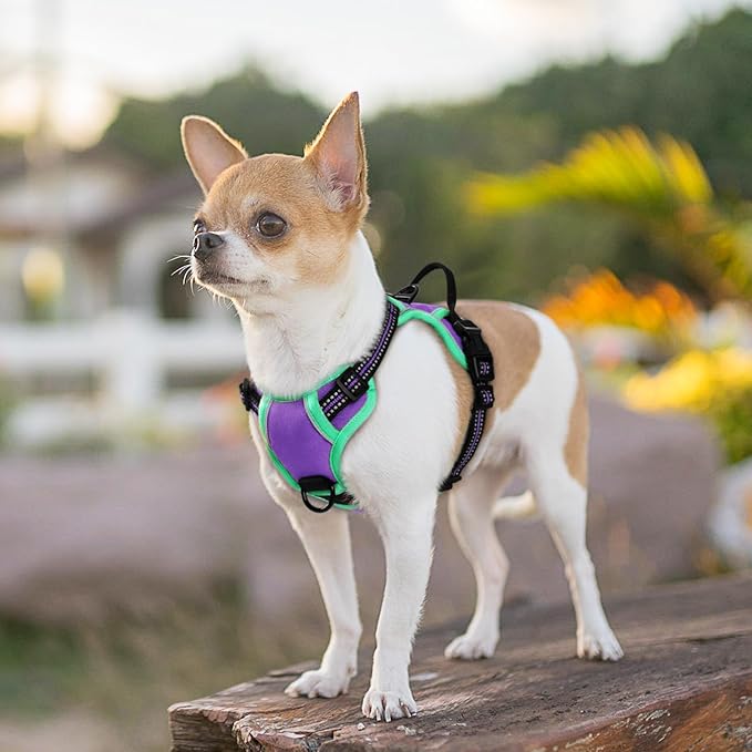 Eagloo Small Dog Harness No Pull, Service Vest with Reflective Strips and Control Handle, Adjustable and Comfortable for Walking, No Choke Pet Harness with 2 Metal Rings, Purple & Green, XS-PurrikoPets