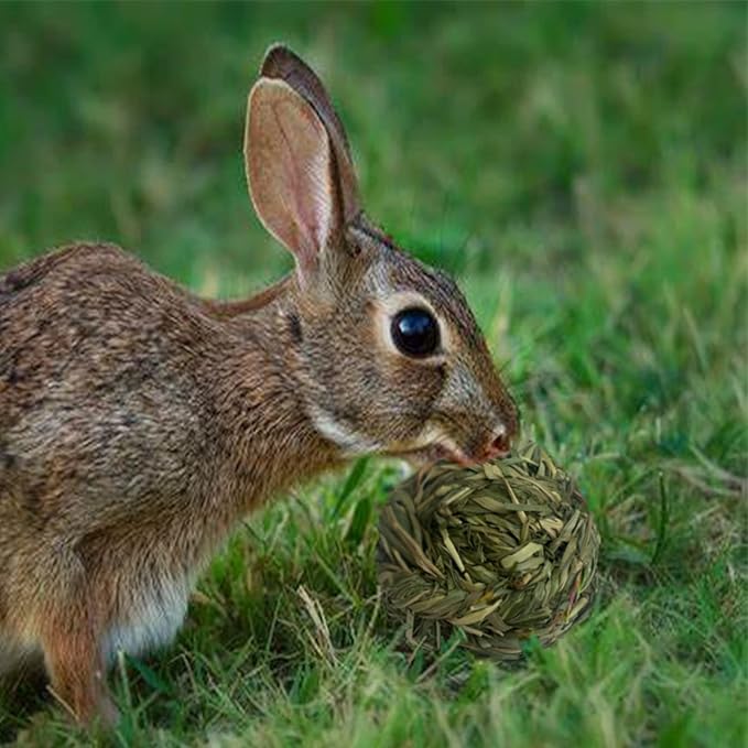 6 Pcs Bunny Timothy Grass Ball Natural Chew Toy Woven Chewing Toys Rabbit Molar Small Animals Teeth Grinding Suitable for Hamster Totoro Gerbils Guinea Pig Squirrel-PurrikoPets