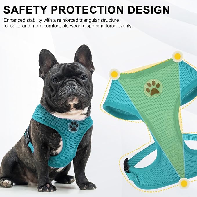 BINGPET Small Dog Harness - Breathable Mesh Puppy Cat Harnesses - No Pull Adjustable Dog Harness Dog Vest Harness for Small and Medium Dogs-PurrikoPets