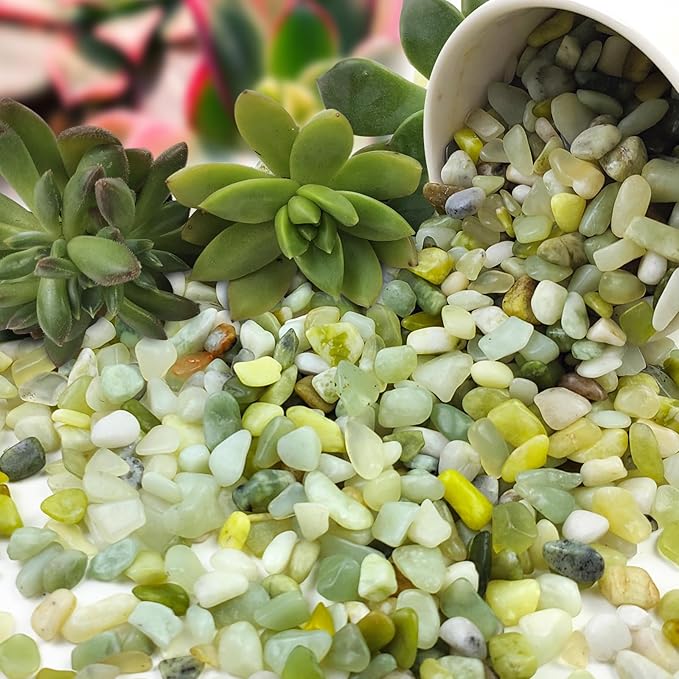 5 lbs Jade Pebbles for Indoor Plants,1/4 inch Polished Gravel Rocks for Plants, Succulents, Cactus, Vases, Terrarium and Outdoor Gardening-PurrikoPets