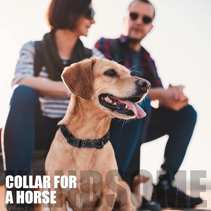 Fida Heavy Duty Dog Collar, Ultra Comfortable Soft Neoprene Padded, Adjustable Reflective Nylon Pet Collar with Durable Metal Belt Buckle for Medium Breeds (M, Black)-PurrikoPets