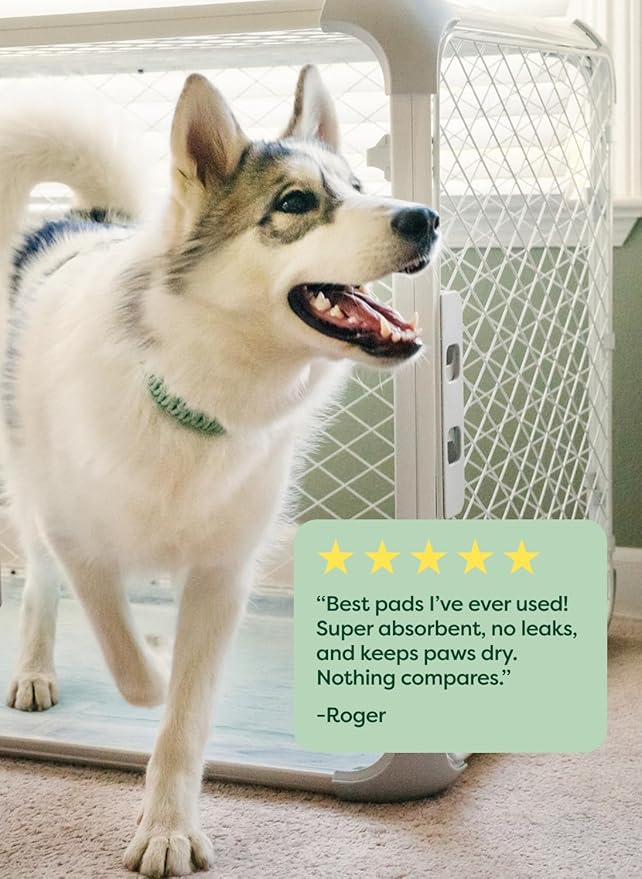 Earth Rated Max Absorbency Puppy Pee Pads for Dogs Absorbs 2X Faster & 2X More, Leak-Proof Odor-Free Potty Training Wee Wee Pad, Unscented, 3XL, 36” x 36”, 24 Count-PurrikoPets