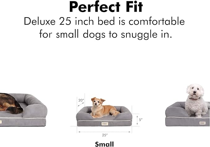 Friends Forever Small Dog Bed, Orthopedic Sofa Memory Foam Mattress, Calming Couch, Wall Rim Pillow, Water Resistant Liner, Washable Cover, Non-Slip Bottom, Chester, Small Khaki Beige-PurrikoPets