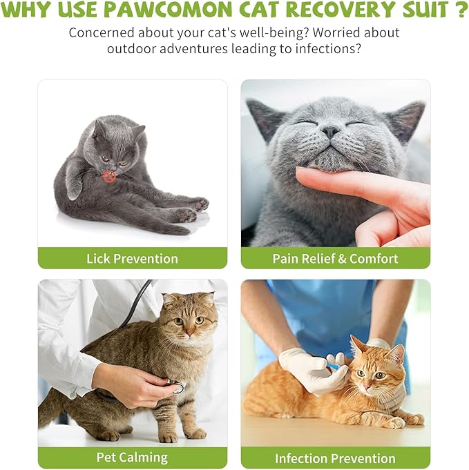 2 Packs Cat Surgery Recovery Suit Surgical Clothes Abdominal Wounds Anti-Licking Cat Bodysuit Onesie Substitute E-Collar& Cone-PurrikoPets