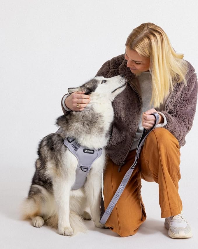 2025 New Edition, Fei & Eve MagEase Dog Harness - 3-Second Magnetic Buckles | 3-Point No-Pull Control | Heavy-Duty 900D Nylon | Dual Safety Handles | Breathable Mesh | Adjustable Fit | Medium, Gray-PurrikoPets