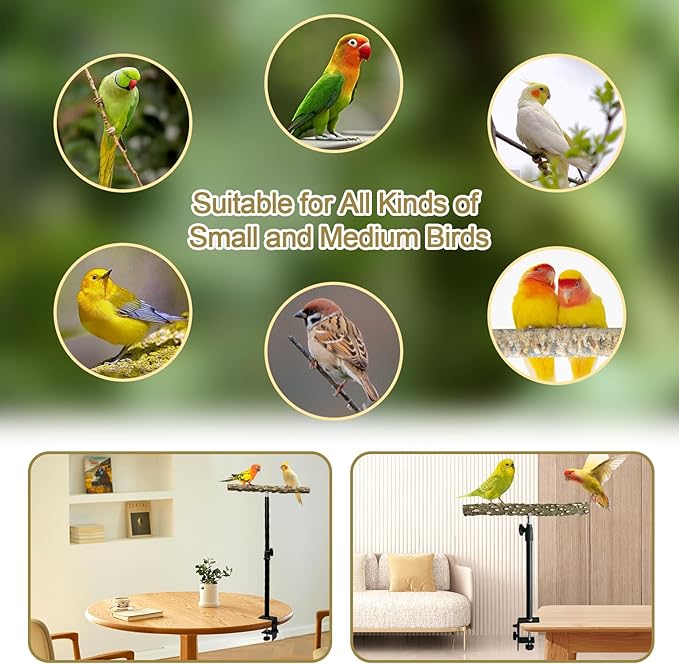 13-23 Inch Height Adjustable Desktop Bird Perch Pepper Wood Bird Training Perch Stand Parakeet Perches Indoor and Outdoor Parrot Stands for Small to Medium Bird-PurrikoPets