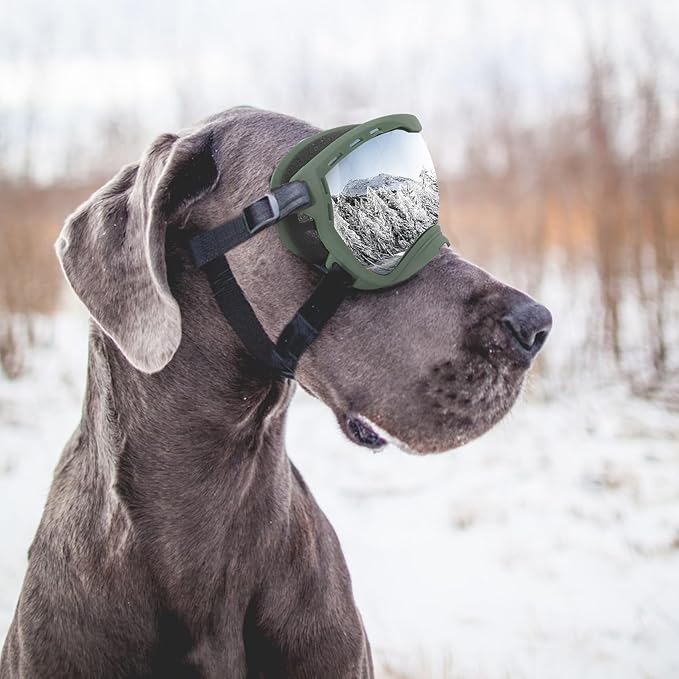 Dog Goggles for Large Dogs, UV Wind Dust Fog Protection, Soft Frame Adjustable Dog Sunglasses, Summer Driving & Winter Snow Eyewear, Tactical Pet Glasses with Elastic Strap (Green)-PurrikoPets