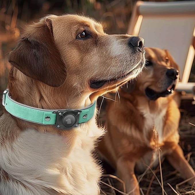 AirTag Dog Collar - Leather Dog Collar with Air Tag Holder | IPX8 Waterproof, Reflective, High - End, Adjustable Soft Padded | Dog GPS Tracker Collars Fit for Medium Large Dogs (Teal, M)-PurrikoPets