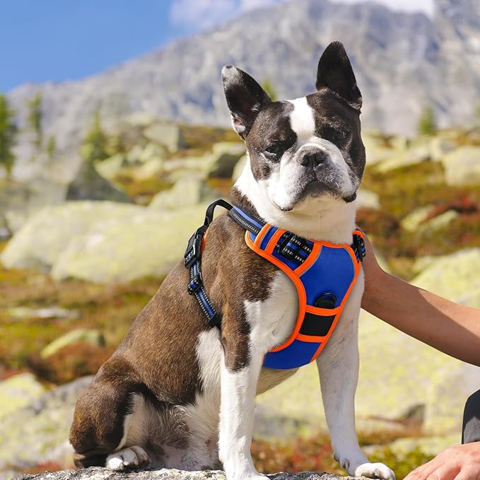 Eagloo Dog Harness for Large Dogs, No Pull Service Vest with Reflective Strips and Control Handle, Adjustable and Comfortable for Walking, No Choke Harness with 2 Metal Rings, Blue & Orange, M-PurrikoPets