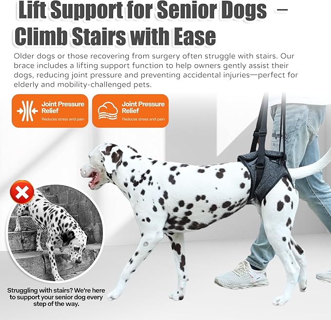 Dog Sling for Medium Large Dog Rear Leg, Lift Harness Provide Support with Muscle Atrophy and Joint Problems for Elderly Injured Arthritic Pet, Dog Weak Rear Legs Provides Rehabilitation Aid-PurrikoPets
