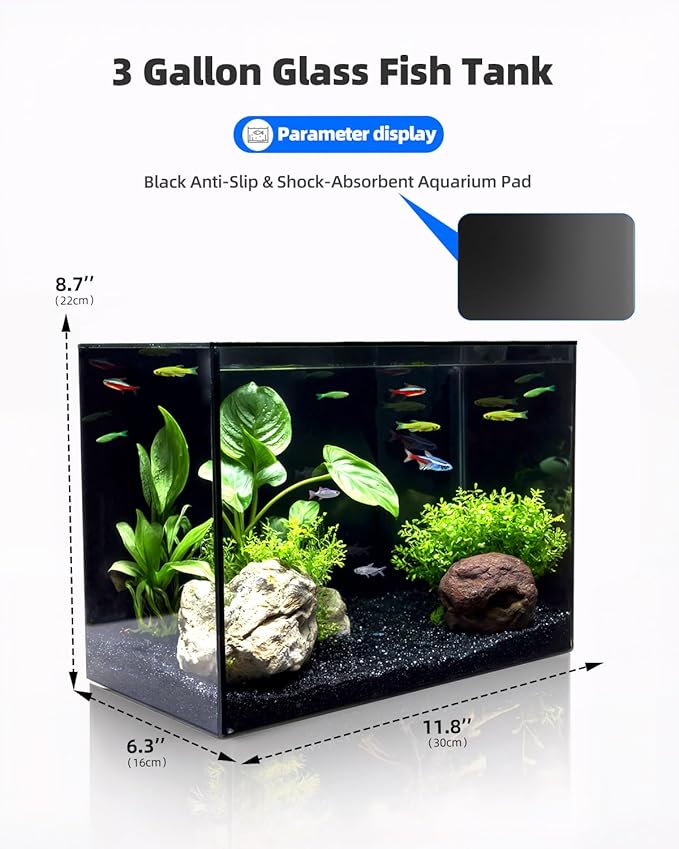 3 Gallon Clear Glass Fish Tank, Small Fish Tank Aquarium for Betta, Goldfish, Snail,Shrimp and Aquatic Planting-PurrikoPets