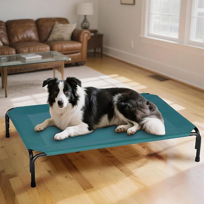 Elevated Dog Bed for Outdoor, Extra Large Raised Dog Cot with Washable Mesh, Cooling Pet Cot Chew Proof for Outside Camping, 47 inch Green-PurrikoPets