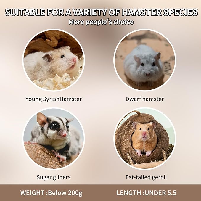 3-in-1 Bear Shaped Ceramic Hamster House - Cool House for Syrian Dwarf Hamsters, Mice, Gerbils, Small Pets, Top for Hamster Food, Removable Lid for Ice Packs, Cute Cool Hideout for Summer(Pink)-PurrikoPets