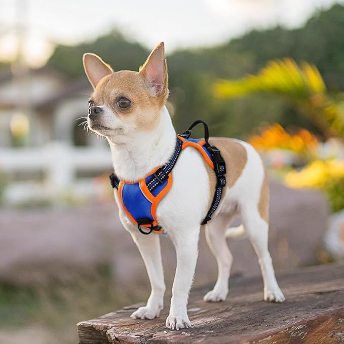 Eagloo Small Dog Harness No Pull, Service Vest with Reflective Strips and Control Handle, Adjustable and Comfortable for Walking, No Choke Pet Harness with 2 Metal Rings, Blue & Orange, XS-PurrikoPets