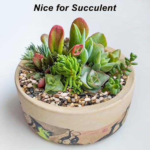 Fish Tank Rocks,Virekm River Rocks, Decorative Ornamental Pebbles Garden Landscaping Stones Gravel Filler for Home Decoration Flower Bed Fish Tank Plants Vases Succulents (10 Pounds)-PurrikoPets