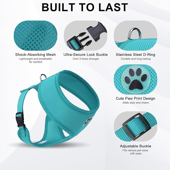 BINGPET Small Dog Harness - Breathable Mesh Puppy Cat Harnesses - No Pull Adjustable Dog Harness Dog Vest Harness for Small and Medium Dogs-PurrikoPets