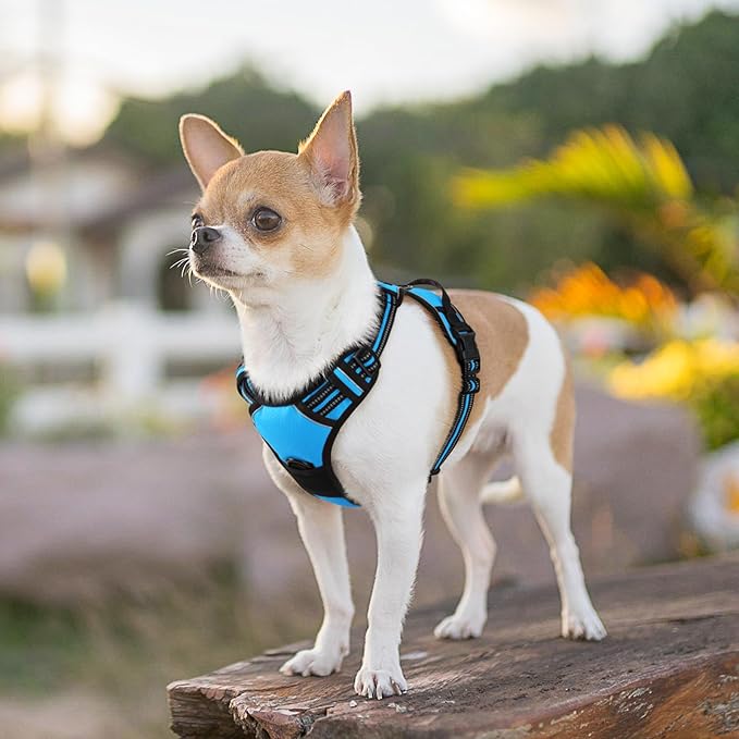 Eagloo Small Dog Harness No Pull, Service Vest with Reflective Strips and Control Handle, Adjustable and Comfortable for Walking, No Choke Pet Harness with 2 Metal Rings, Sky Blue, XS-PurrikoPets