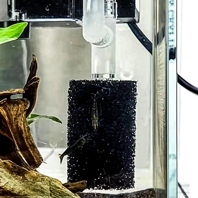 6X Pre-Filter Sponge for Aquarium Shrimp Fry Fish Tank Filter Pump Prefilter Sponge Replacement Foam Cover 2.4 X 1.4 Inch with 0.4" Hole Diameter-PurrikoPets