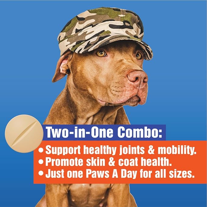 Glucosamine for Dogs Hip & Joint Supplement – “Two-in-One Combo” Dog Joint Care and Improved Skin & Coat with Chondroitin, MSM, Omega 3, Collagen & Biotin, 60 Chewable Tablets-PurrikoPets