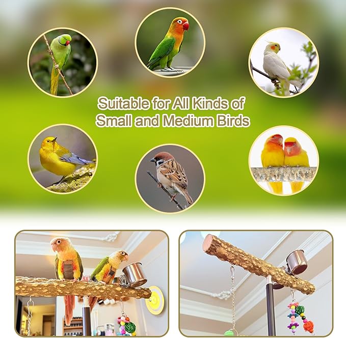 18-27 Inch Height Adjustable Bird Perch Pepper Wood Desktop Bird Training Perch Stand with Feeding Cups and Swing Toy Parakeet Perches Indoor and Outdoor Parrot Stand for Small to Medium Birds-PurrikoPets