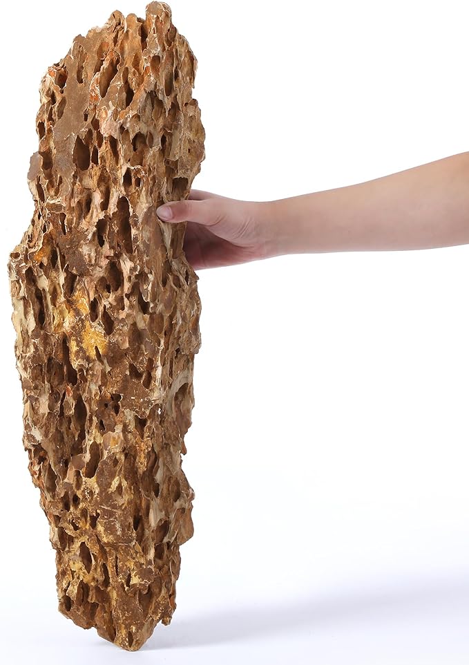 22-24 Inches Natural Dragon Stone 1 PCS Ultra Large Aquarium Rocks for Aquascaping, Aquarium Landscaping, Terrariums, Fish Tank Decoration, Vivariums, Paludarium, Amphibian Enclosures-PurrikoPets