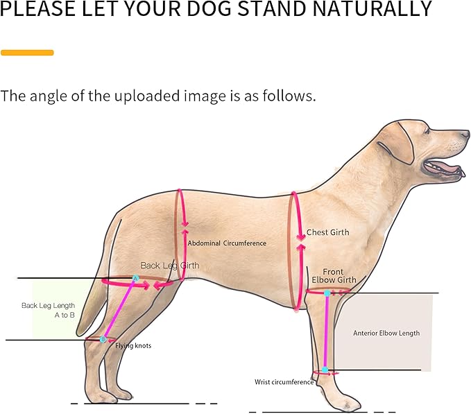 Dog Hip Support Brace – Rear Leg Lift Harness for Mobility & Post-Surgery Recovery, with Chest Straps and Adjustable Elastic Buckles, Customization-PurrikoPets