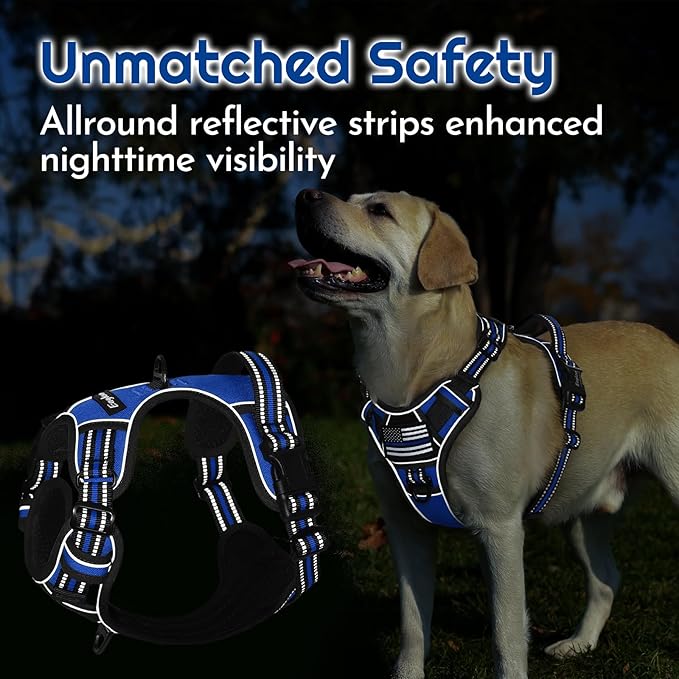 Eagloo Dog Harness Small Sized, Easy Wearing with 3 Buckles, Adjustable No Pull Pet Harness with 2 Rings for Walking, No Chock Reflective Soft Padded Vest with Control Handle, Blue & Black, S-PurrikoPets