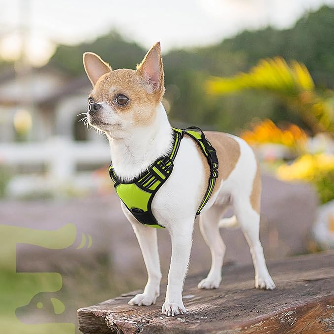 Eagloo Small Dog Harness No Pull, Service Vest with Reflective Strips and Control Handle, Adjustable and Comfortable for Walking, No Choke Pet Harness with 2 Metal Rings, Green, XS-PurrikoPets