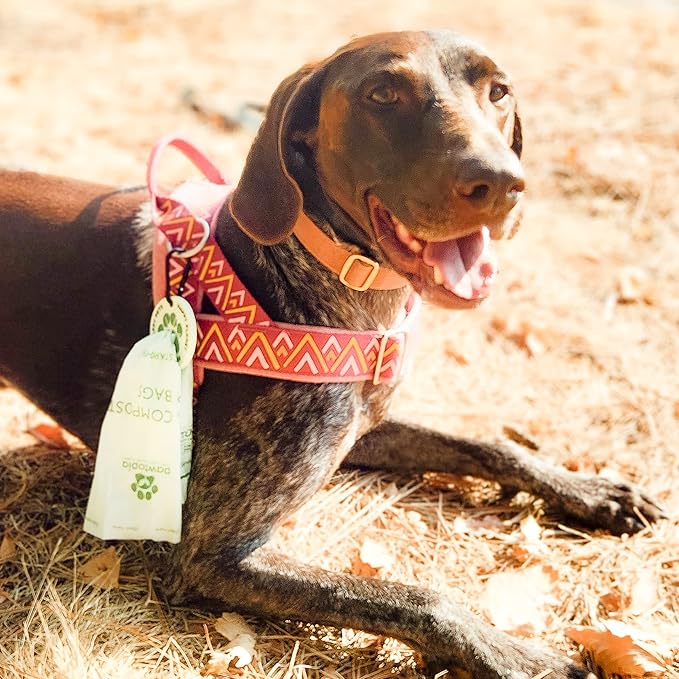 Pawtria Certified Home Compostable Dog Poop Bags (240 Bags + Lavender Carrier), Biodegradable Pet Waste Bags, Vegetable Starches, Leak proof Dog Waste Bags, Light-weight silicone made bag carrier-PurrikoPets
