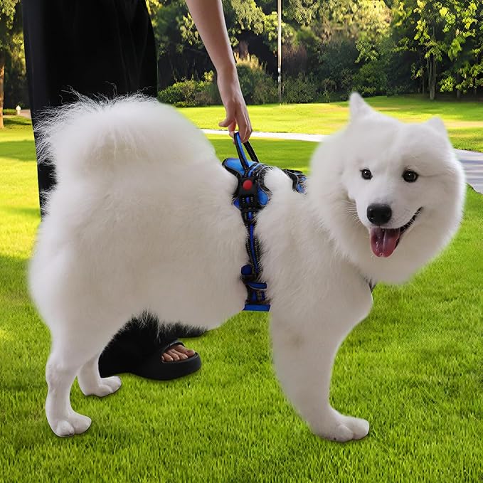 Dog Harness, Adjustable Reflective Dog Vest No Pull Dog Harness with Badge and Bow Tie for Puppy Small Medium Large Dogs-PurrikoPets