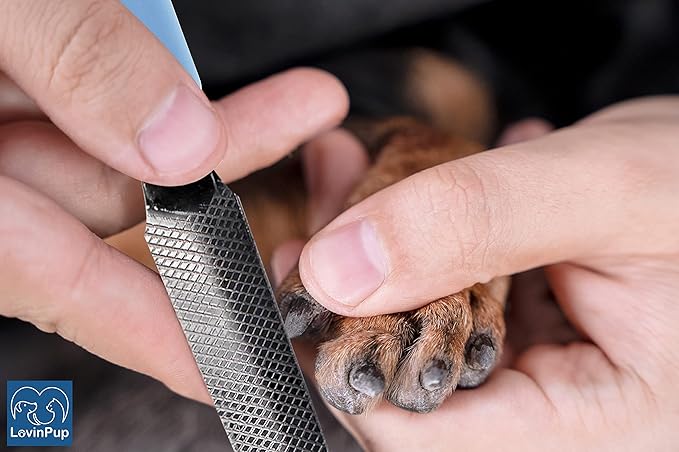 Dog Nail Filer, Professional Nail Grooming Tool, Dog and Cat Nail Files, for Smoothing Rough Edges of Pet’s Nails, Best Nail Filer for Small/Large Dogs & Cats (3 Dog Nail Filers Set)-PurrikoPets