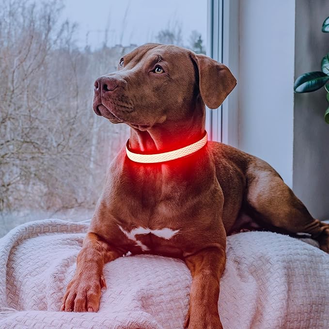 Flashseen LED Dog Collar, Light Up Dog Collar USB Rechargeable, Brightest Dog Lights for Night Walking, Adjustable Dog Collar Light for Dog Safety(Small, Ruby Red)-PurrikoPets