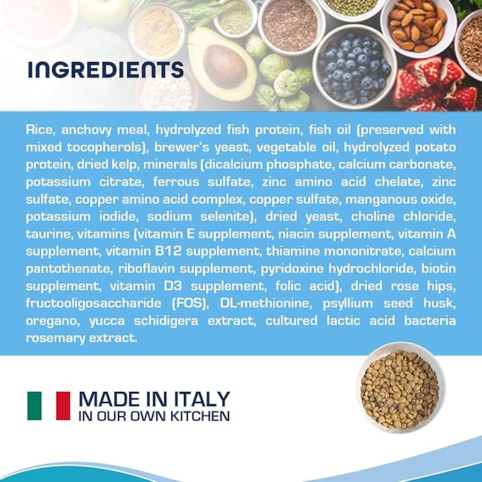 Forza10 Active Intestinal Support Diet Dry Cat Food for Adult Cats, Cat Food Dry for Upset Stomach, Diarrhea and Intestinal Disorders, Wild Caught Anchovy Flavor, 4 Pound Bag-PurrikoPets