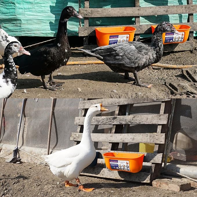 Goovilla Chicken Feeder Waterer, Hanging or Screw-in Fence Feeder with Clips, 2 Pack 5 Quart Goat Feeder Supplies, Duck Piglet Sheeple Coop Dog Livestock Poultry Plastic Feeder Trough Bucket, Orange-PurrikoPets