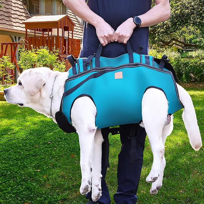 Dog Lift Harness Backpack Carrier for Large Dogs, Full Body Sling with Handle, Dog Harness for Joint Injuries, Arthritis, Ideal for Stairs, Elderly Dogs (Blue XXX-Large 66-83 LBS)-PurrikoPets