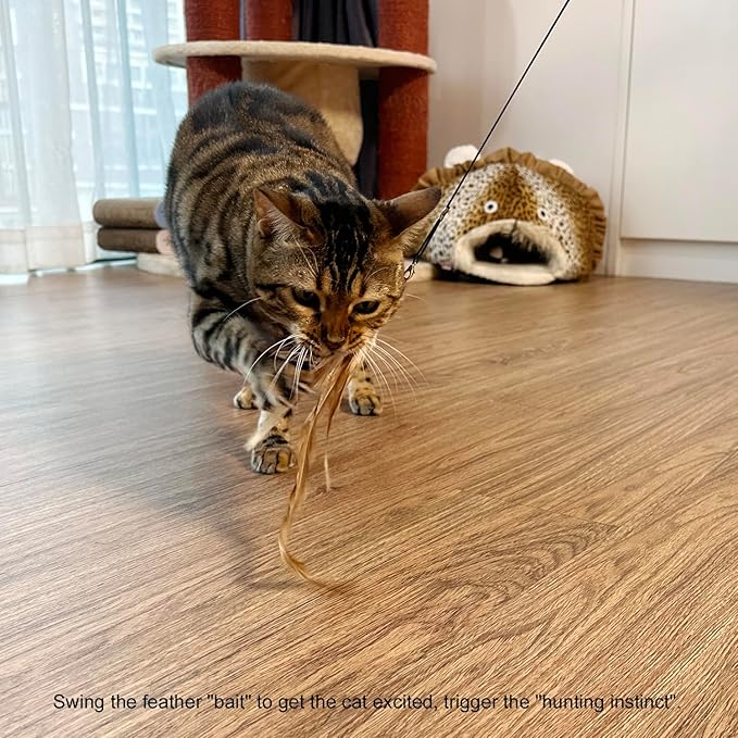 TTcat Cat Feather Wand Toys,Retractable Wand Toy with 4 Feather Refills, Interactive Cat Toy Kitten Toy for Indoor Cats to Play Chase Exercis-PurrikoPets