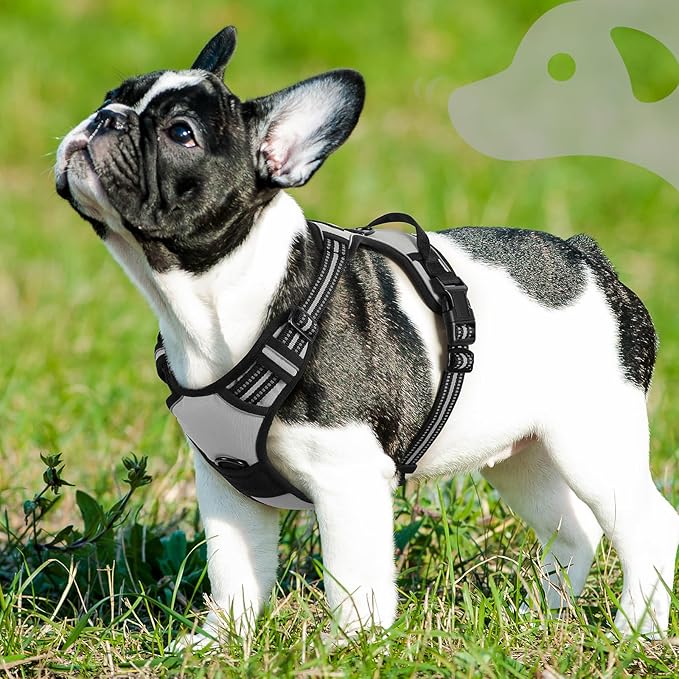 Eagloo Dog Harness Small Sized Dog, No Pull Service Vest with Reflective Strips and Control Handle, Adjustable and Comfortable for Easy Walking, No Choke Pet Harness with 2 Metal Rings, Grey, S-PurrikoPets