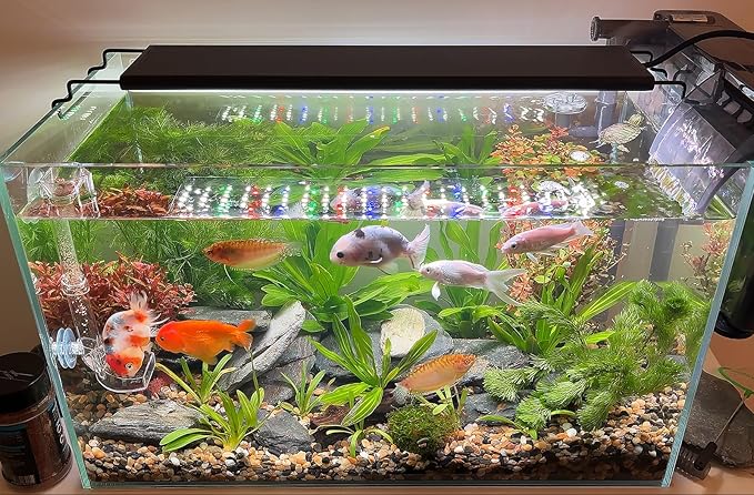 Advanced 7-Row LED Aquarium Light, Easy Setup Controller, Auto On Off Full Spectrum Fish Tank Light, 24/7 Lighting Cycle, 8 Colors, 10 Level Dimming, 48W for 36"-42" Freshwater Planted Tank-PurrikoPets