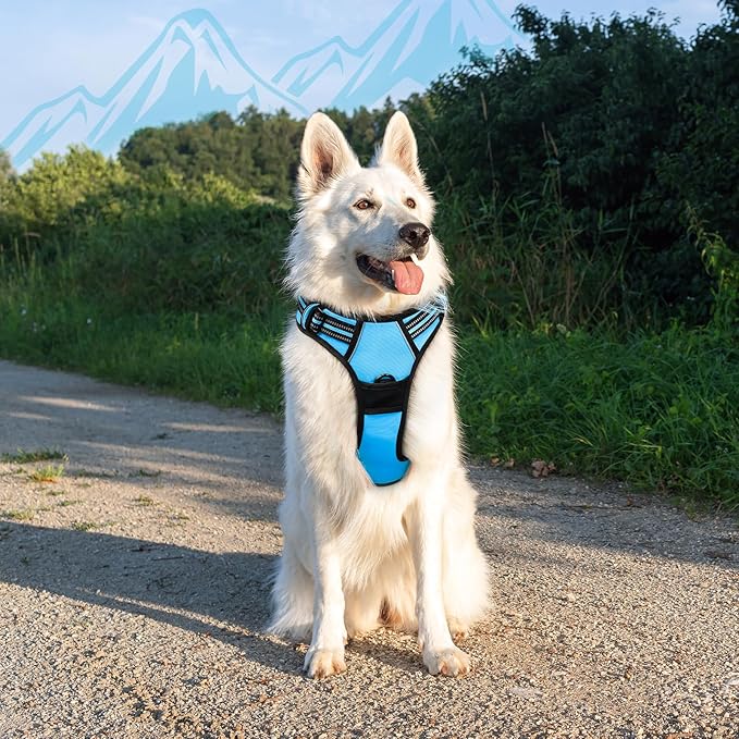 Eagloo Dog Harness Large Breed, No Pull Service Vest with Reflective Strips and Control Handle, Adjustable and Comfortable for Easy Walking, No Choke Pet Harness with 2 Metal Rings, Sky Blue, XL-PurrikoPets