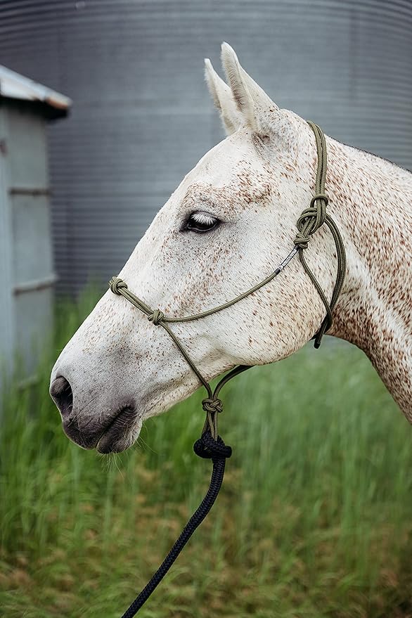 14FT Lead Rope with NP Snap-PurrikoPets