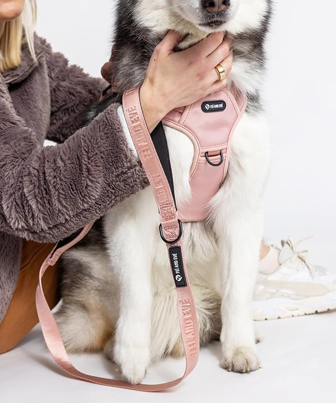 2025 New Edition, Fei & Eve MagEase Dog Harness - 3-Second Magnetic Buckles | 3-Point No-Pull Control | Heavy-Duty 900D Nylon | Dual Safety Handles | Breathable Mesh | Adjustable Fit | Large, Pink-PurrikoPets