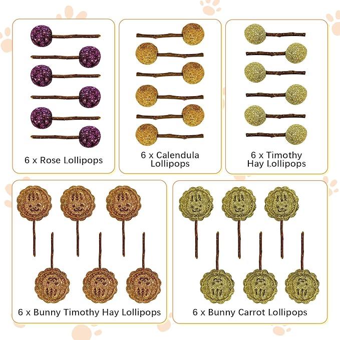 Fhiny Rabbit Chew Toys, 30 PCS Natural Bunny Lollipop Chew Sticks Handmade Guinea Pig Molar Treats for Teeth Small Animals Snacks for Guinea Pig Bunny Chinchilla Hamster Gerbil Teeth Care-PurrikoPets