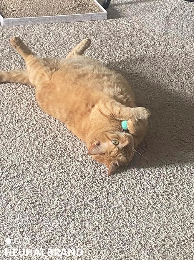 80-Pack Cat Toy Balls 10 Assorted Colors 1.25 Inch Diameter Suitable for All Cat Sizes (Cat Toys Value Pack)-PurrikoPets