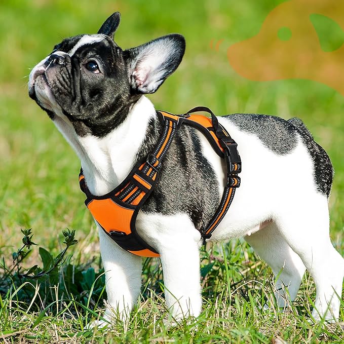 Eagloo Dog Harness Small Sized Dog, No Pull Service Vest with Reflective Strips and Control Handle, Adjustable and Comfortable for Easy Walking, No Choke Pet Harness with 2 Metal Rings, Orange, S-PurrikoPets
