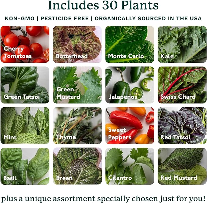 Gardyn 4.0 Hydroponics Growing System Kit & Vertical Garden Planter, 30 Non-GMO Indoor Plants Smart Garden, Herbs, Vegetables & LED Grow Lights for Indoor Gardening System-PurrikoPets